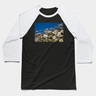 Blue sky and daisies Baseball T-Shirt